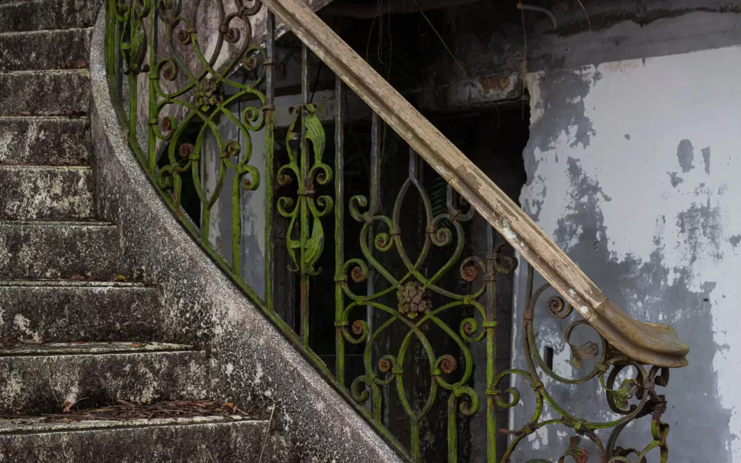 10 Signs of Rising Damp
