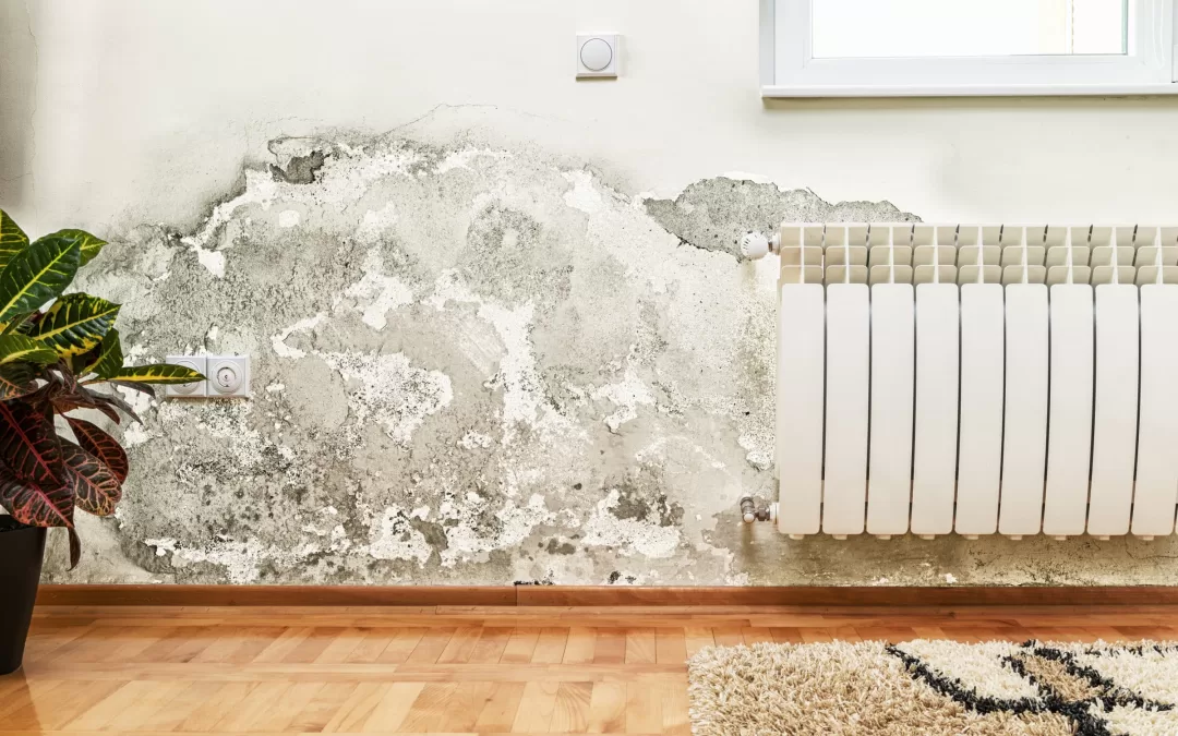 How Do You Stop Damp Coming Through Walls?
