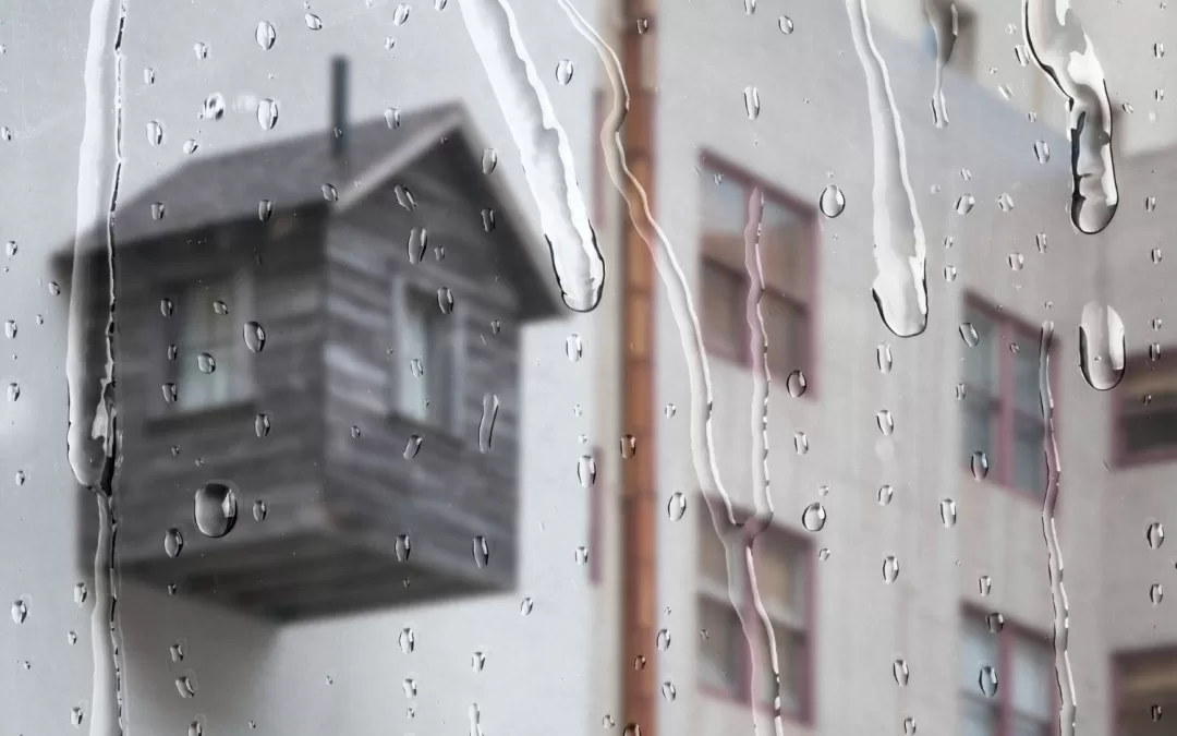 What Causes Condensation and How to Treat It