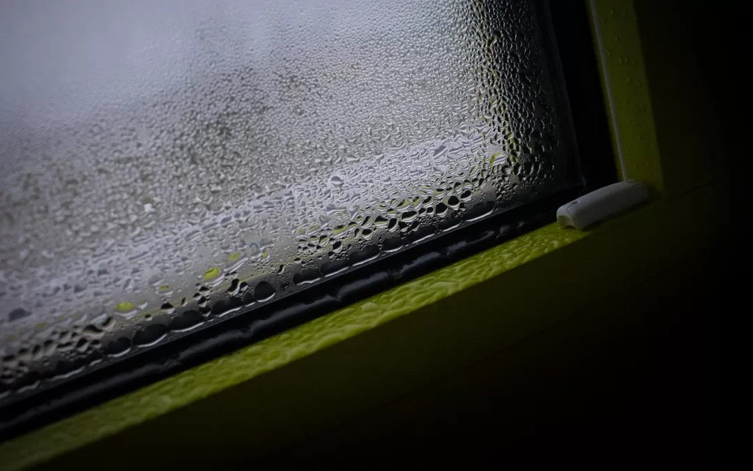 condensation on a window