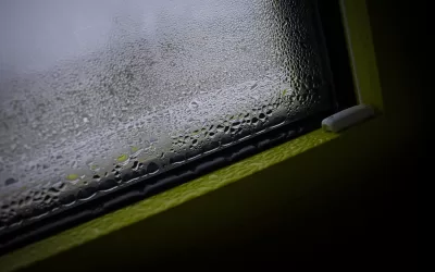 The Difference Between Rising Damp and Condensation