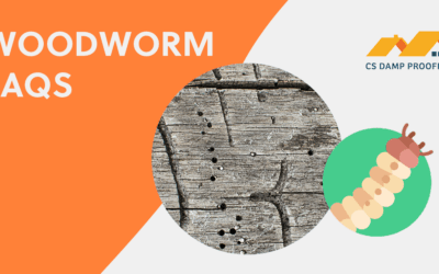 Top 15 Woodworm FAQs